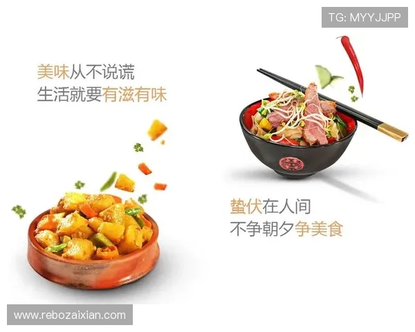 V体育国际版全面解析：最新版本功能介绍与使用指南
