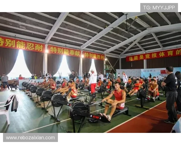 胜利体育如何打造专业化的体育竞技平台满足不同用户需求