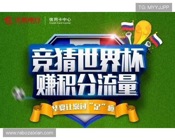 世界杯冠军竞猜怎么买最划算，专家推荐的实用购买指南与技巧